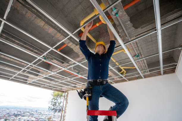 Best Clogged Drain Plumber  in Sunrise Manor, NV