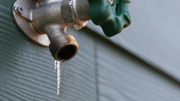 Shower Repair Services in Sunrise Manor, NV